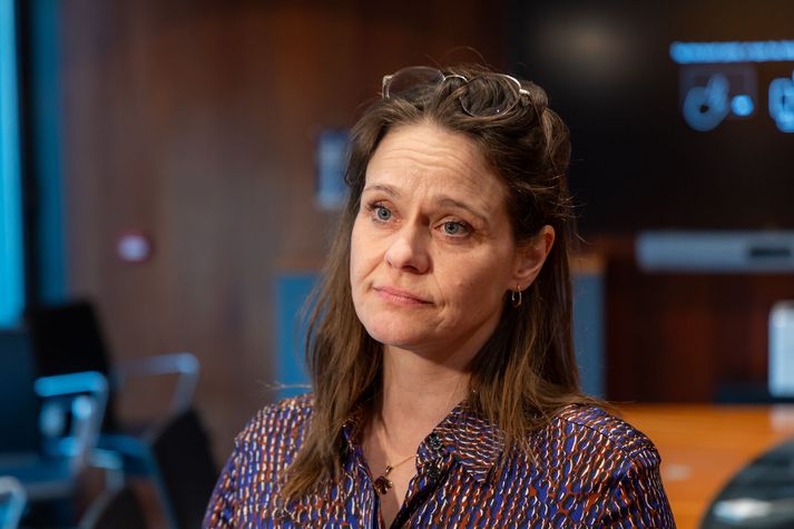 Reykjavíkurleiðin, leikskólaleiðin í Reykjavík, verður kynnt á blaðamannafundi í Ráðhúsi Reykjavíkur í dag. Líf Magneudóttir, oddviti Vinstri grænna