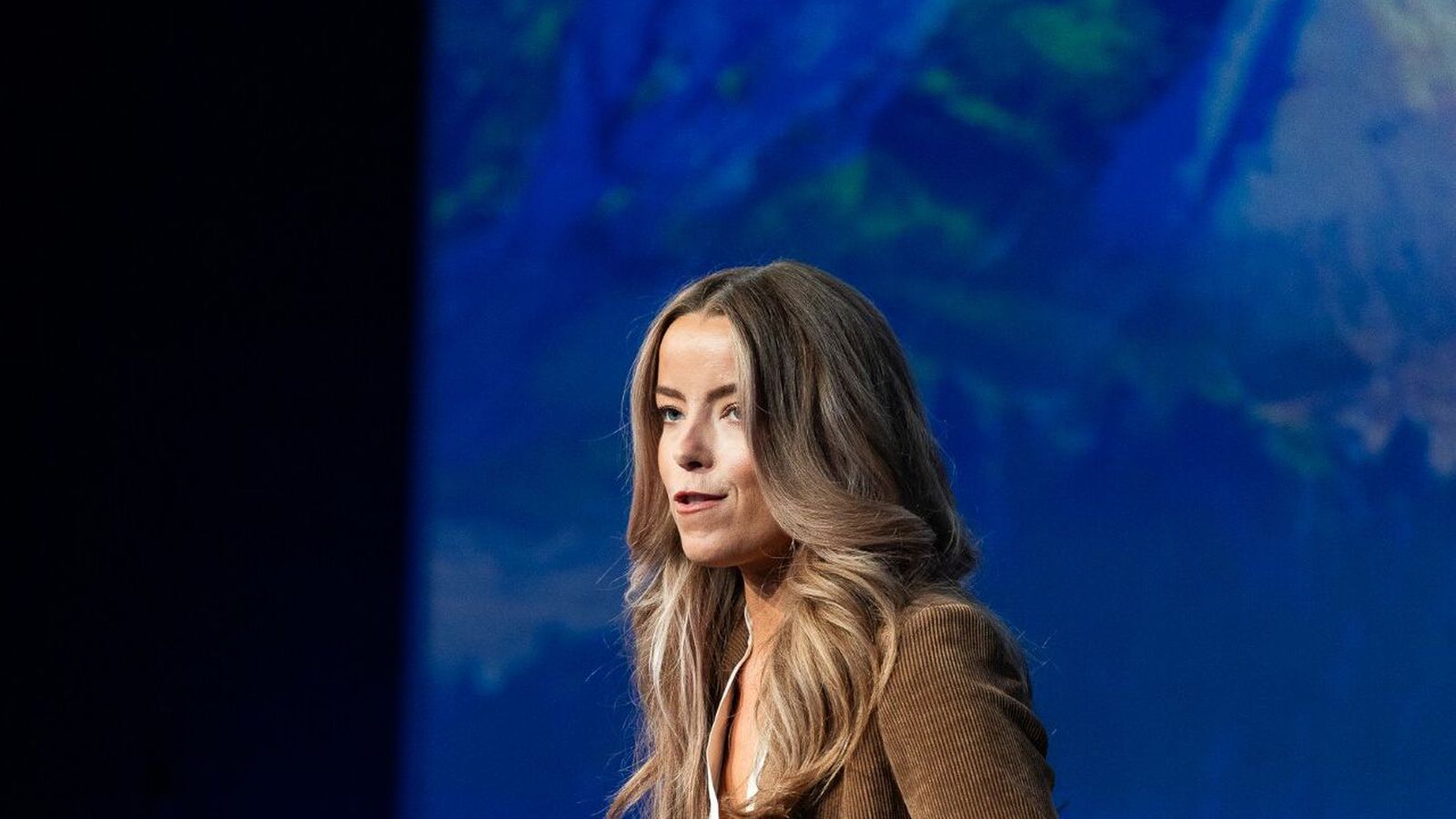 Horn í síðu fyrirtækjareksturs