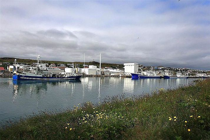 Vopnfirðingar mega gera ráð fyrir brakandi blíðu í dag.