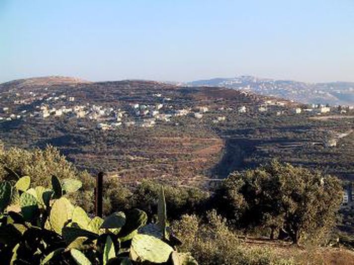 Frá Palestínu.