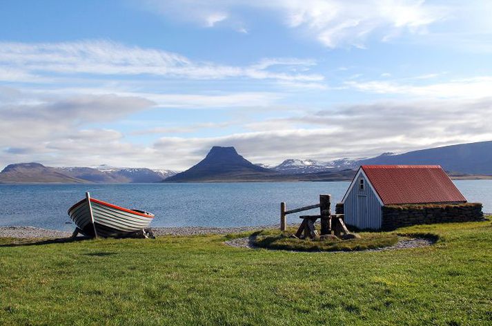Í Vigur hafa verið veiddir fimm til tíu þúsund lundar á ári. 
mynd/björn baldursson