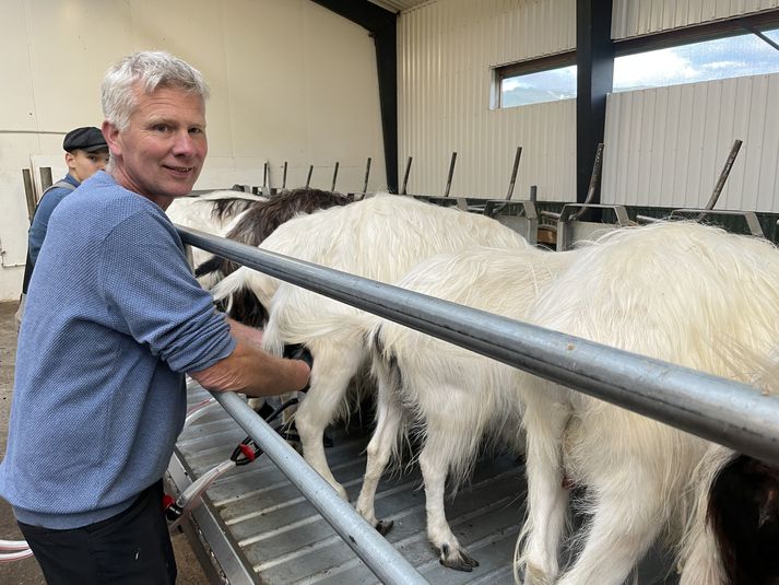 Jóhannes Ríkharðsson, bóndi á Brúnastöðum í Fljótum, að mjólka geiturnar.