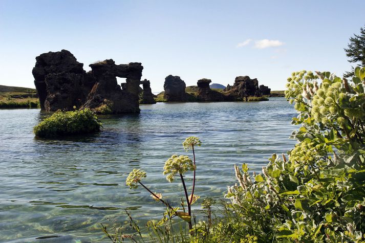 Kúluskítur er horfinn, bleikjan að hverfa og hornsílastofninn í sögulegu lágmarki. 