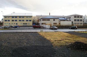 Fréttamynd