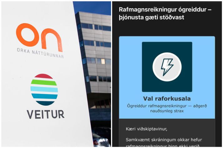 Veitur vara við svikaskilaboðum á borð við þau sem sjá má hér til hægri.