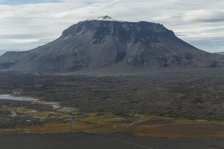 Konan var með stórum hópi þýskra ferðamanna rétt við Herðubreiðarlindir.