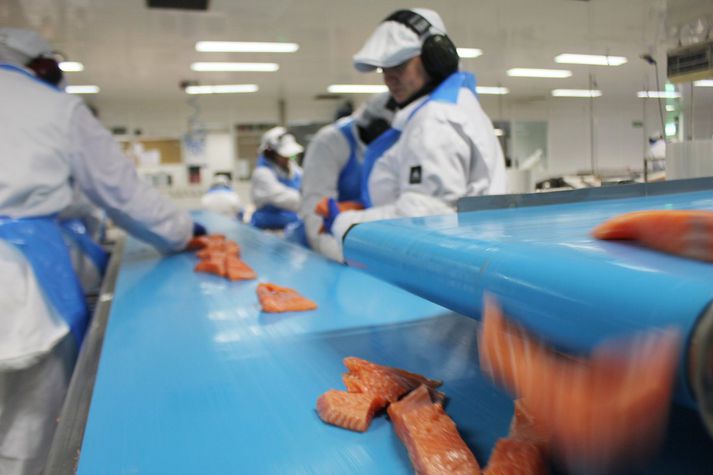 Áhyggjur eru af launamun, vinnuaðstöðu og fordómum gegn innflytjendum á vinnumarkaði.