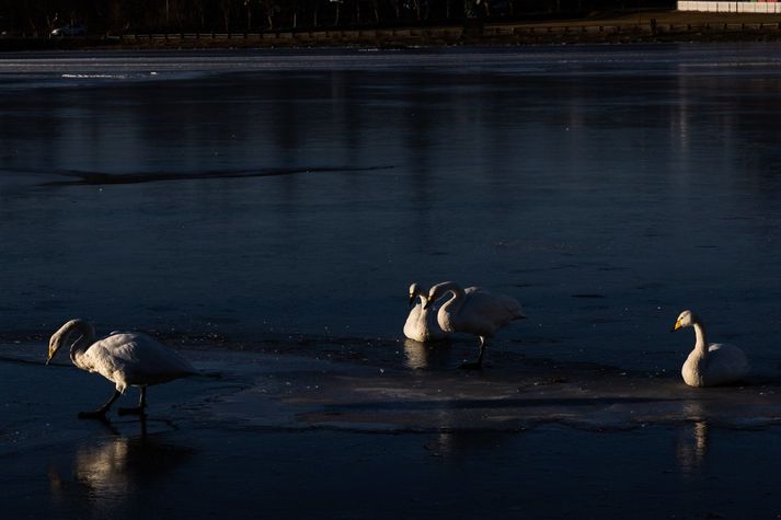 Frost á landinu verður á bilinu fjögur til fimmtán stig í dag. 