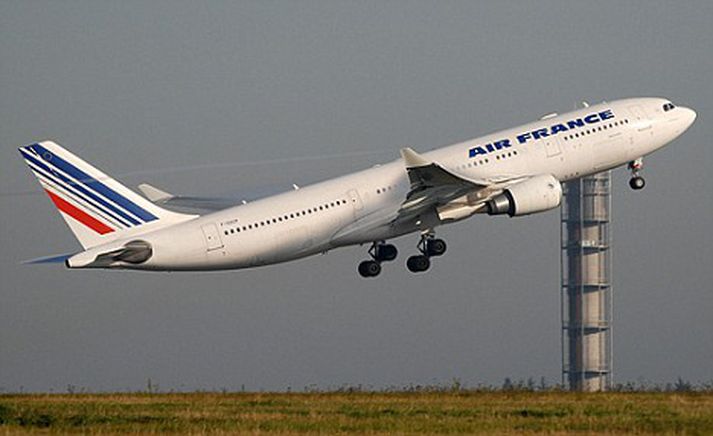 Þetta er talin vera umrædd flugvél.