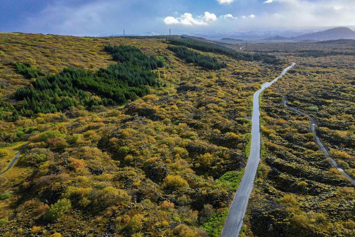 Maðurinn viðurkenndi að hafa fróað skjólstæðingi sínum þrisvar á um þriggja mánaða tímabili. Síðasta skiptið hefði verið í göngutúr í Heiðmörk.