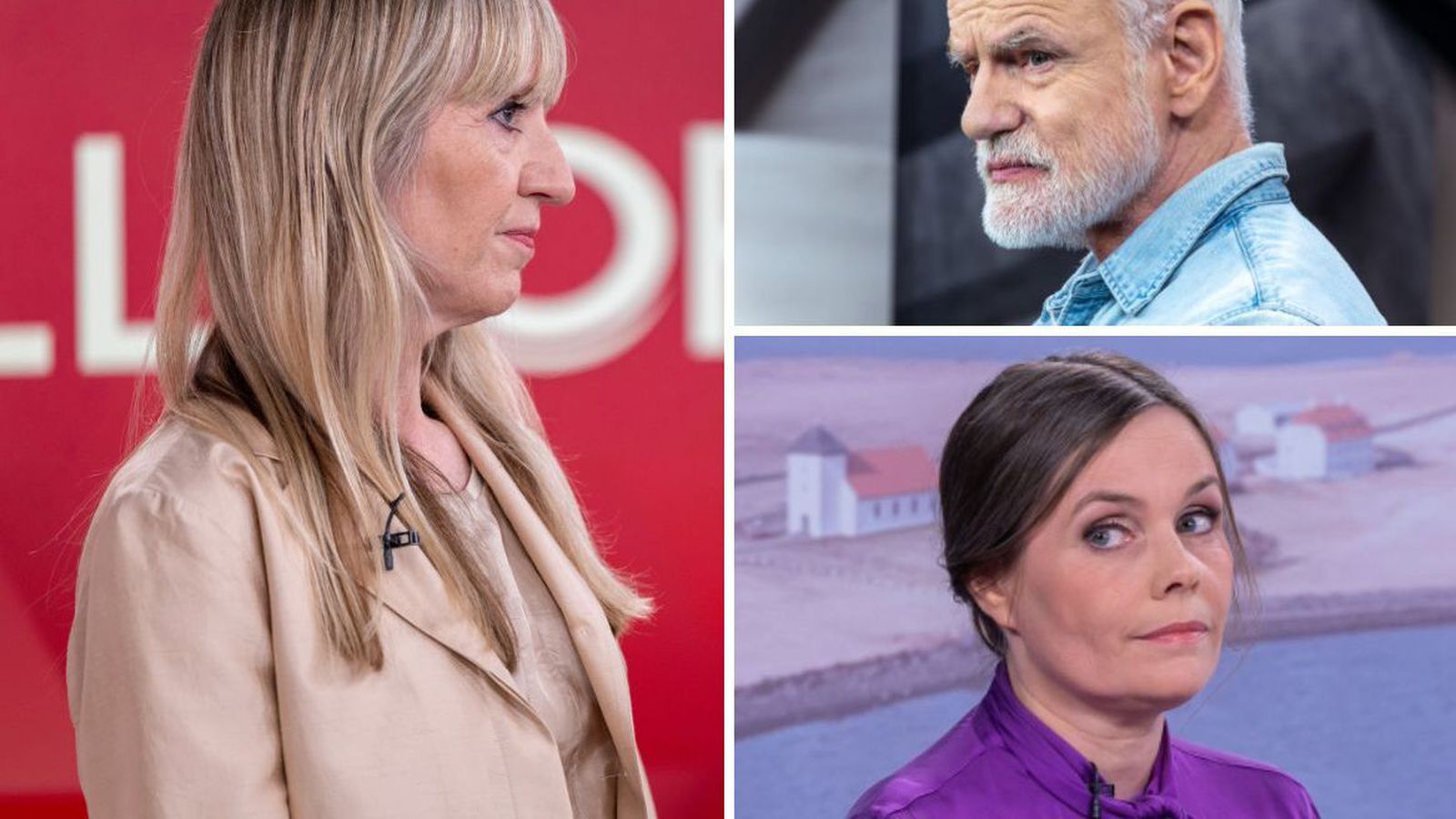 Sini Svahn Sýkna í málinu sem setti svip sinn á forsetakosningarnar - Vísir