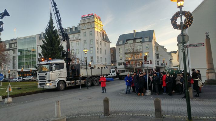 Oslóartréð verður tendrað á Austurvelli á sunnudag.