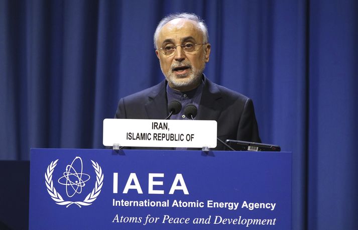 Ali Akbar Salehi, orkumálaráðherra Írans, á fundinum í Vín í dag.