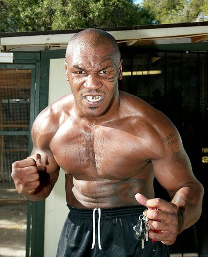 Mike Tyson á í miklum vandræðum með að halda sér réttu megin við lögin.
