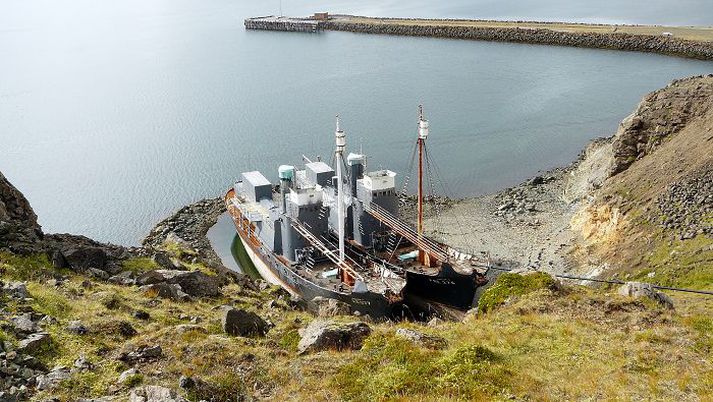 Engar stórhvalaveiðar voru stundaðar í ár og liggja hvalbátar í lægi í Hvalfirði. Kanna á hvort hvalveiðar séu sjálfbærar, standist efnahags-, samfélags- og umhverfislegar forsendur.