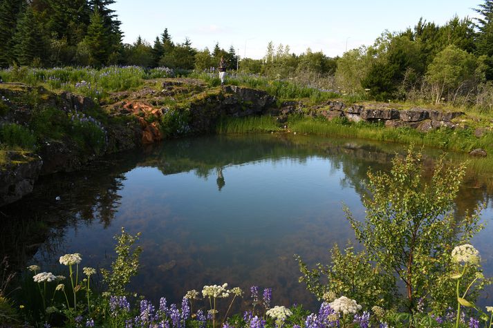 Vigdísi Þórðardóttiu, vinnukonu á Ingunnarstöðum í Brynjudal, Kjósarhreppi, var drekkt í Drekkjarhyl í Elliðaárdal árið 1696. Hún var dæmd til dauða á Kjalarnesþingi ári áður. Hún hafði viðurkennt að hún væri móðir barns sem hefði fundist látið í léreftspoka í vatnslind í Brynjudal ári fyrr. Skömmu fyrir Alþingistímann eignaðist hún annað barn og var aftökunni frestað þar til barnið var fætt.