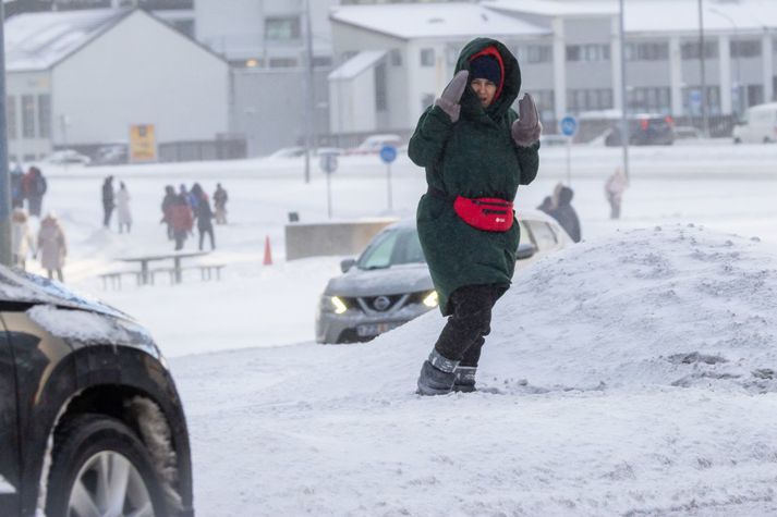 Erlendir ferðamenn hafa fengið að kynnast íslenskum vetraraðstæðum undanfarna daga og vikur. Íslendingar hafa ráð undir rifi hverju á þessum árstíma. Meðal annars að flýja til Tenerife eða hlýja sér með ástinni sinni.