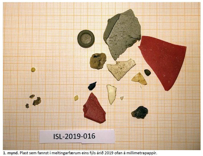 Plast sem fannst í meltingarfærum eins fýls árið 2019.