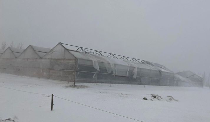 Miklar skemmdir urðu á gróðurhúsinu í nótt í Laugarási í Biskupstungum í Bláskógabyggð í nótt.