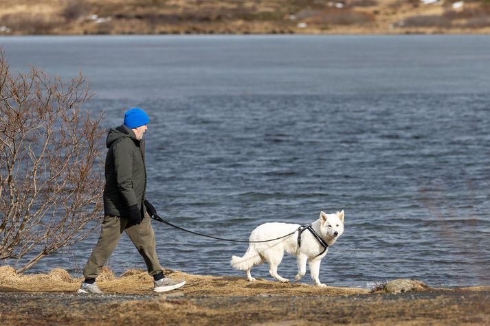 Hiti verður yfirleitt á bilinu fimm til tíu stig.