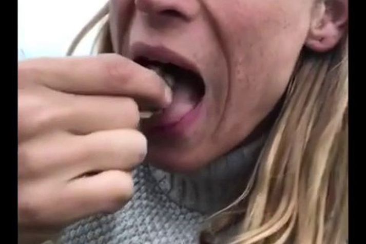 Heiðar Logi, brimbrettakappi, lætur reyna á sjálfsbjargarviðleitni sína því hann ætlar að bjarga sér einn án matar og vatns í fjóra daga í Málmey.