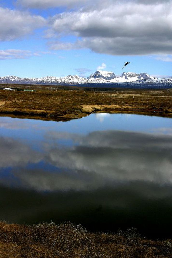 Styrkja á ímynd Dyrfjalla og Stórurðar.