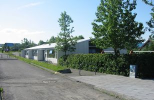 Fréttamynd