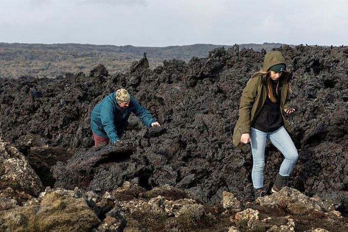 Tveir af hverjum þremur ferðamönnum sem heimsóttu Ísland í fyrra ferðuðust um Reykjanesið.