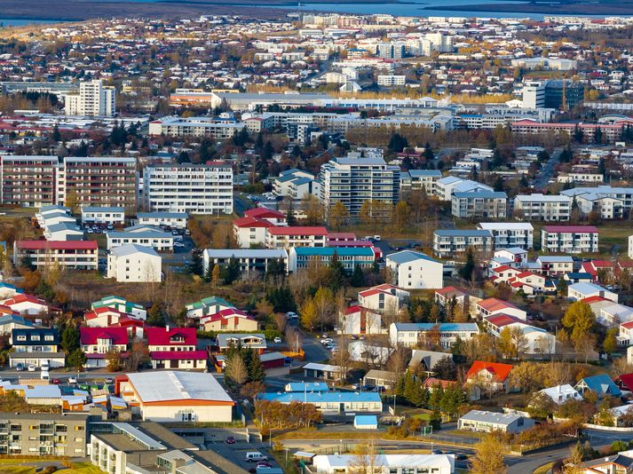 Lögregla varð vitni að manninum slá hundinn sinn. 