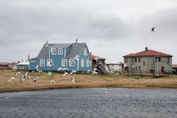 Af 500 greiddum atkvæðum voru 224 seðlar auðir, tæp 45 prósent.