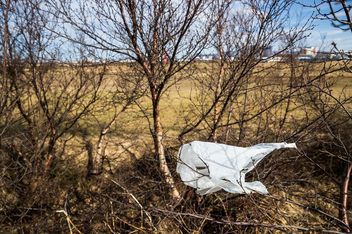 Plast hverfur ekki eða eyðist við náttúrulegt niðurbrot heldur brotnar það í smærri einingar og verður á endanum að örplasti.