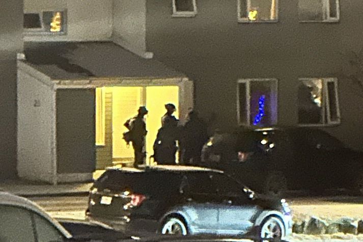 Sérsveitin í Rimahverfinu.