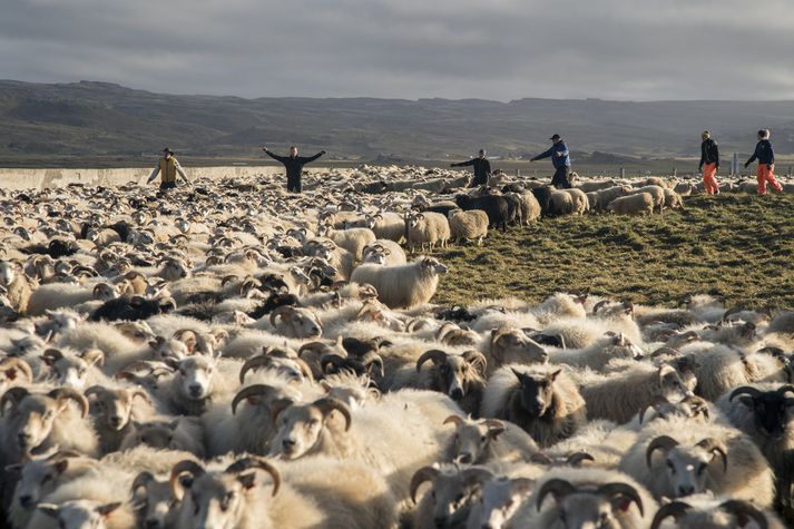 Árni nefndi dæmi um að Bárðdælaafréttur og Biskupstungnaafréttur væru í raun óbeitarhæfir.