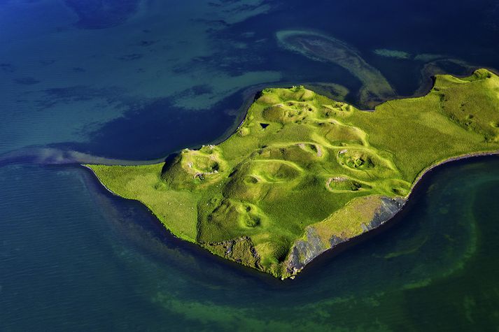 Mývatn er óumdeilt ein mesta náttúruperla Íslands, en fiskistofnar vatnsins eru í hættu. 