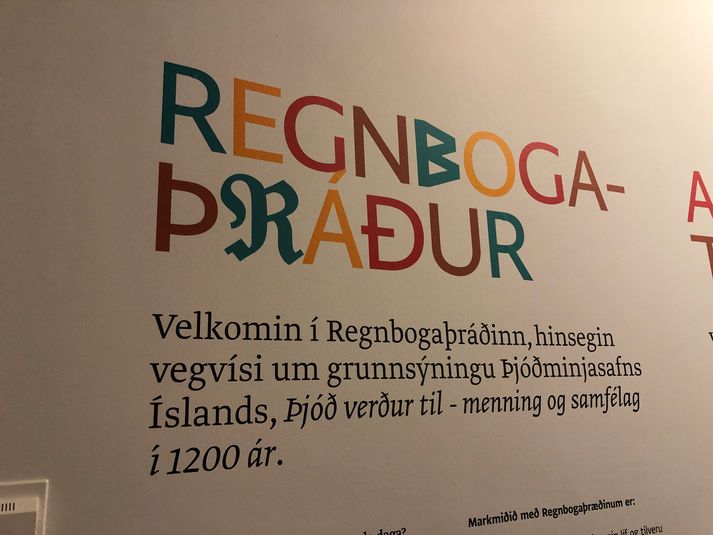 Enn er mörgum spurningum ósvarað um sögu hinsegin fólks á Íslandi.