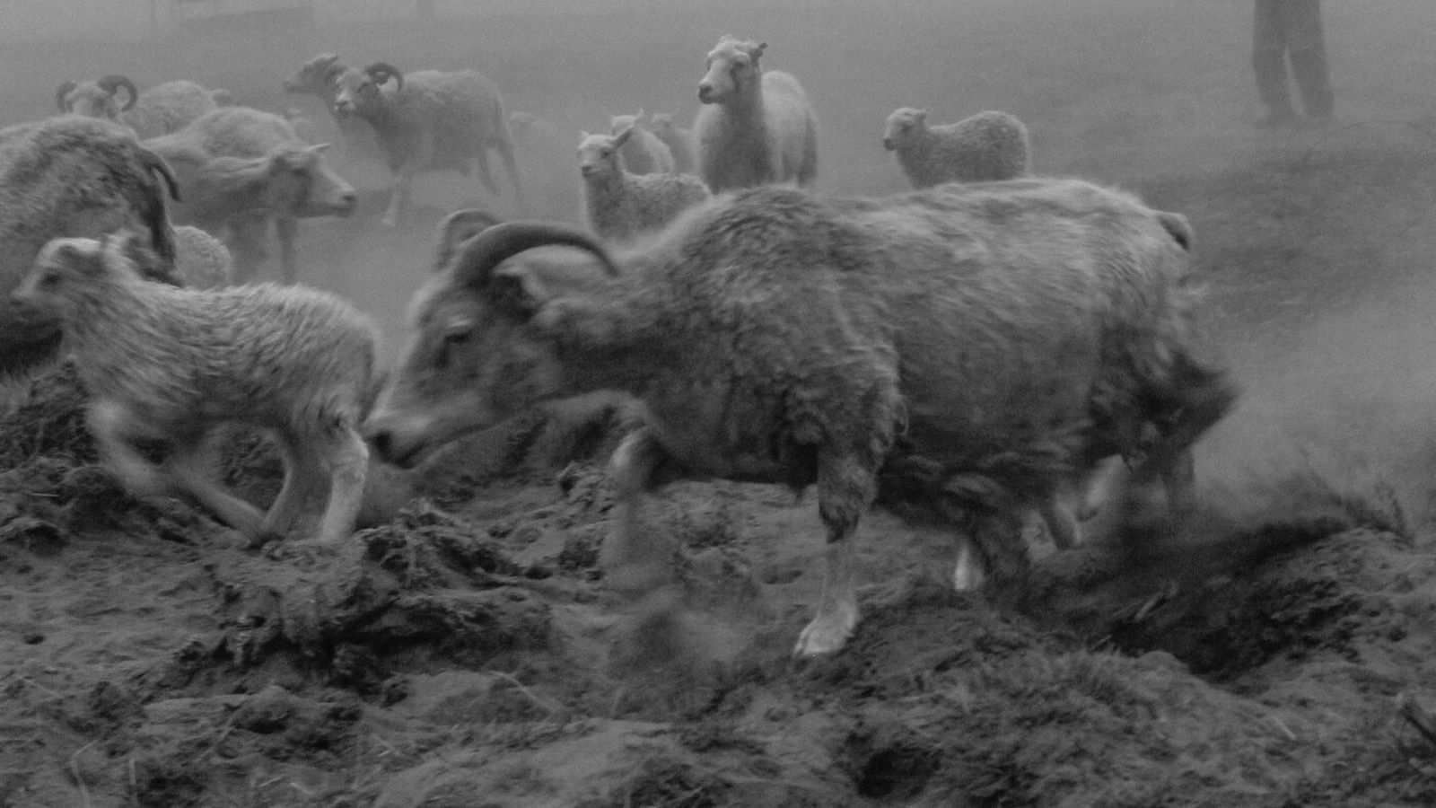 Dimmt um há­bjartan dag