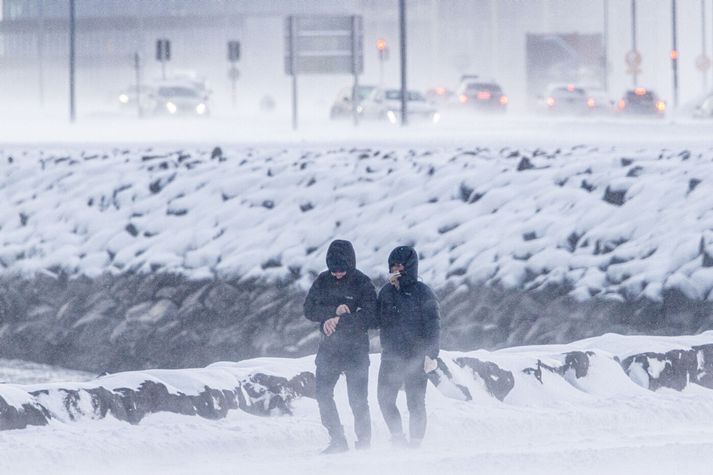 Búist er við að ýmis starfsemi í samfélaginu liggi í lamasessi á morgun.