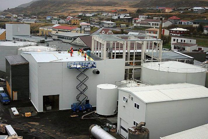 Ísfélagið í Vestmannaeyjum.