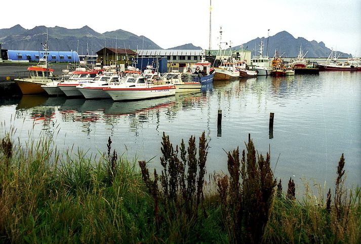 Frá Höfn í Hornafirði.