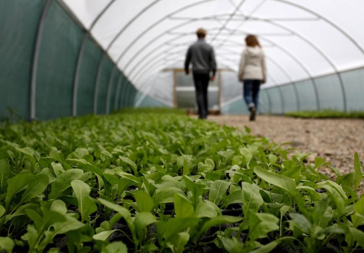 Hjónin Eymundur Magnússon og Eygló Ólafsdóttir hvetja til þess að notkun sjálfboðaliðasamtaka á borð við WWOOF verði leyfð hér á landi. 