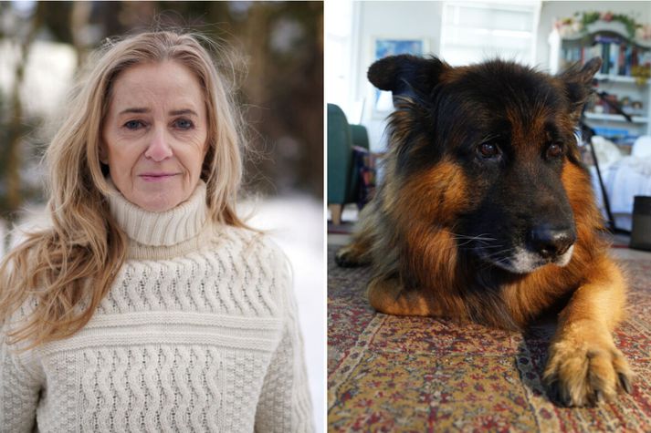 Kolbrún Áslaugar Baldursdóttir kom hundinum Úlfgrími til varnar á Alþingi í dag.