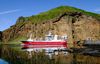 Fréttamynd