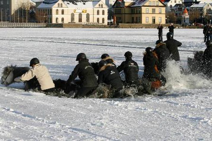 Pjetur Sigurðsson ljósmyndari náði þessari einstæðu mynd í þann mund sem ísinn brestur undan hrossunum.