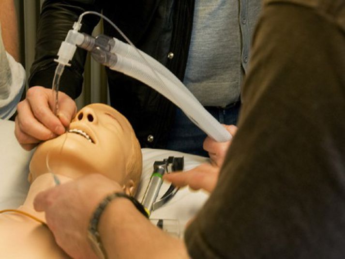 Sýndarsjúklingurinn Hermann stendur í ströngu á morgun.