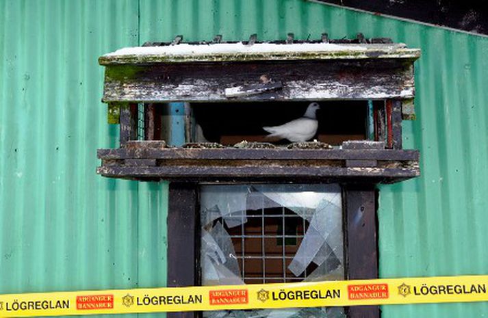 Yfirheyrslur eru hafnar yfir manni vegna hugsanlegra tengsla við voflegan dauða konu sem fannst í dúfnakofa. Mynd/Vilhelm