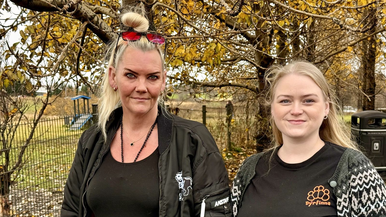 Minnst ellefu hundar drepist við Geirs­nef: „Á­fall að sjá dýrið sitt hlaupa í dauðann“