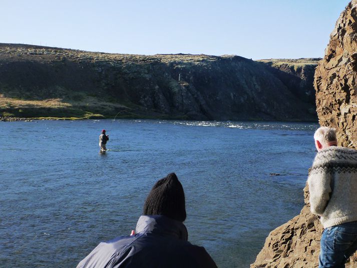 Lax þreyttur á Brotinu í Norðurá í gær.