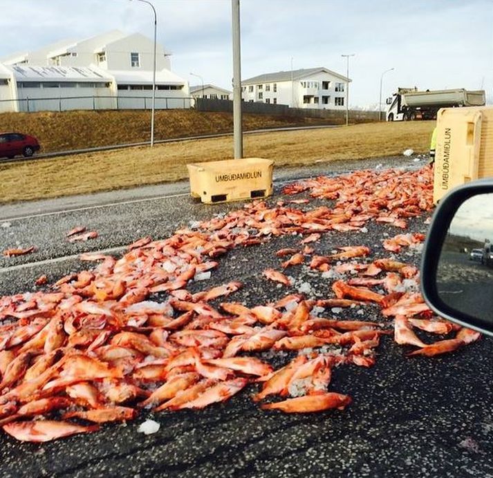 kör með fiski féllu úr vörubifreið á Reykjanesbrautina