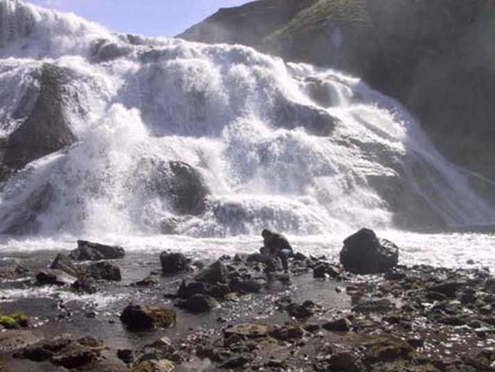 Kerafoss