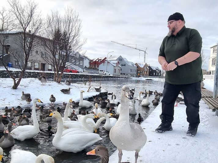 Guðmundur Fylkisson gefur fuglunum í Hafnarfirði allt að þrisvar sinnum á dag.